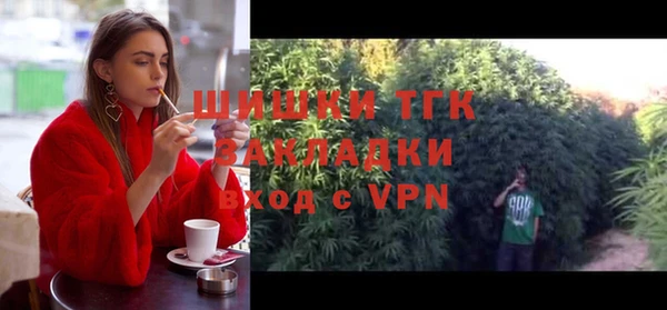 тгк Алексин