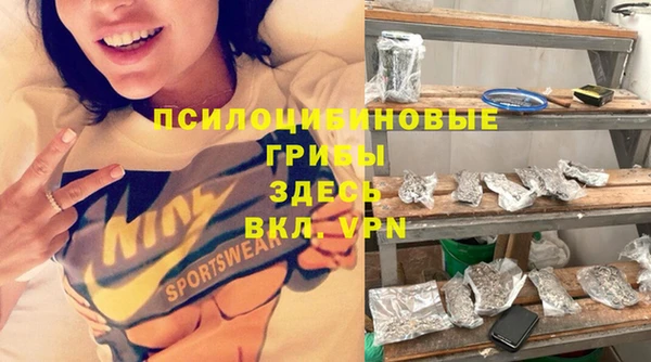 а пвп мука Алзамай