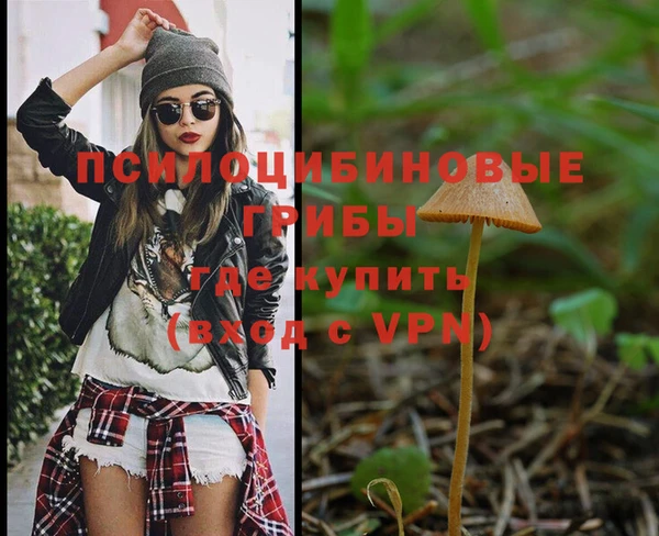 а пвп мука Алзамай
